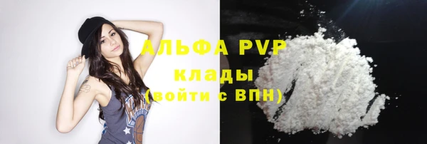 тгк Осташков