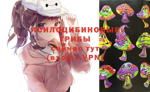 таблы Пересвет