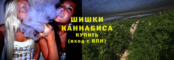 крисы Переславль-Залесский