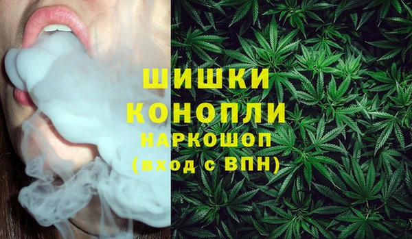 крисы Переславль-Залесский