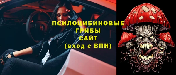 тгк Осташков