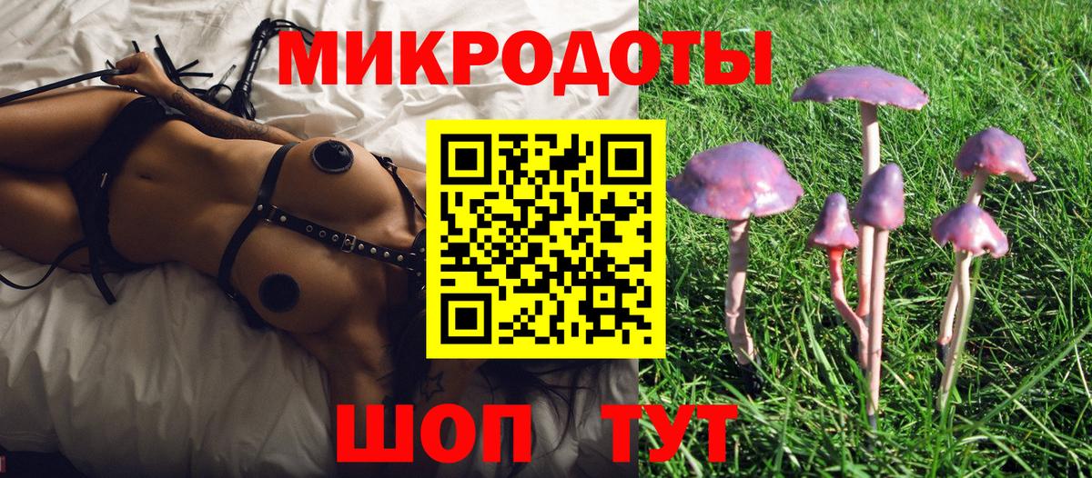 Галлюциногенные грибы Magic Shrooms Кстово