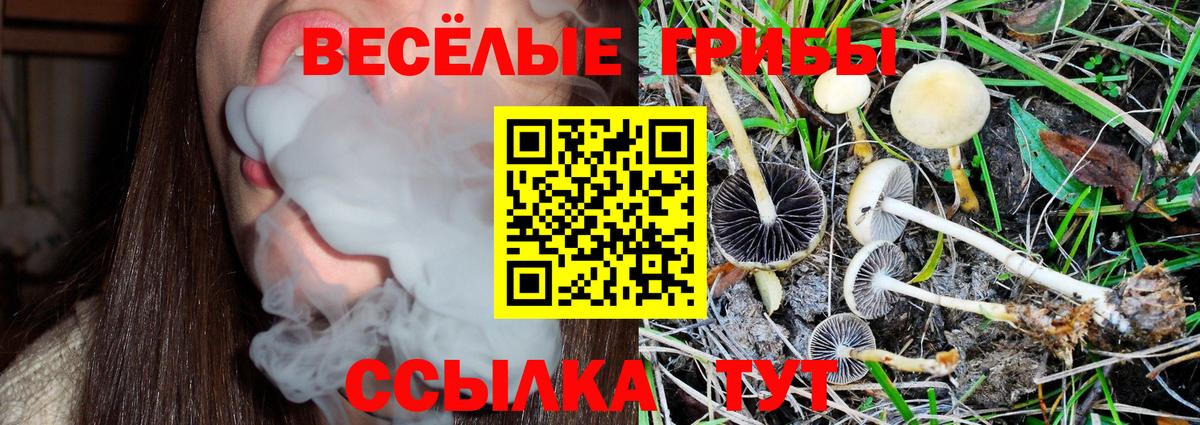 Псилоцибиновые грибы мицелий  Вход с VPN  Псилоцибиновые грибы MAGIC MUSHROOMS  Кстово 